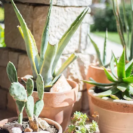 Appartamento Renata Murter