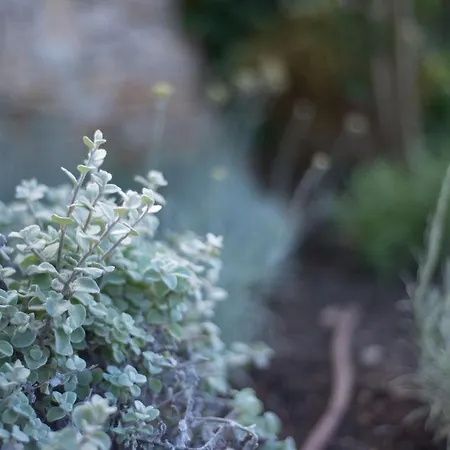 Appartement Renata Murter