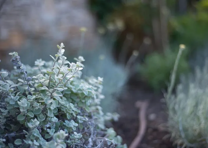 Apartamento Renata Murter