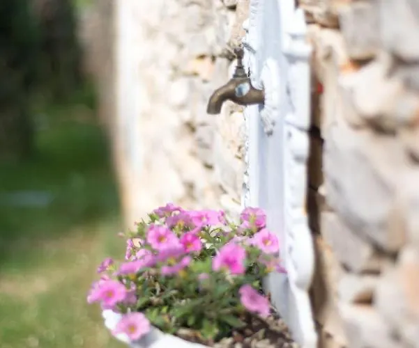 Apartamento Renata *