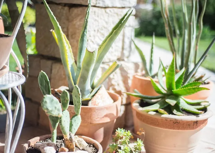 Apartman Renata Murter